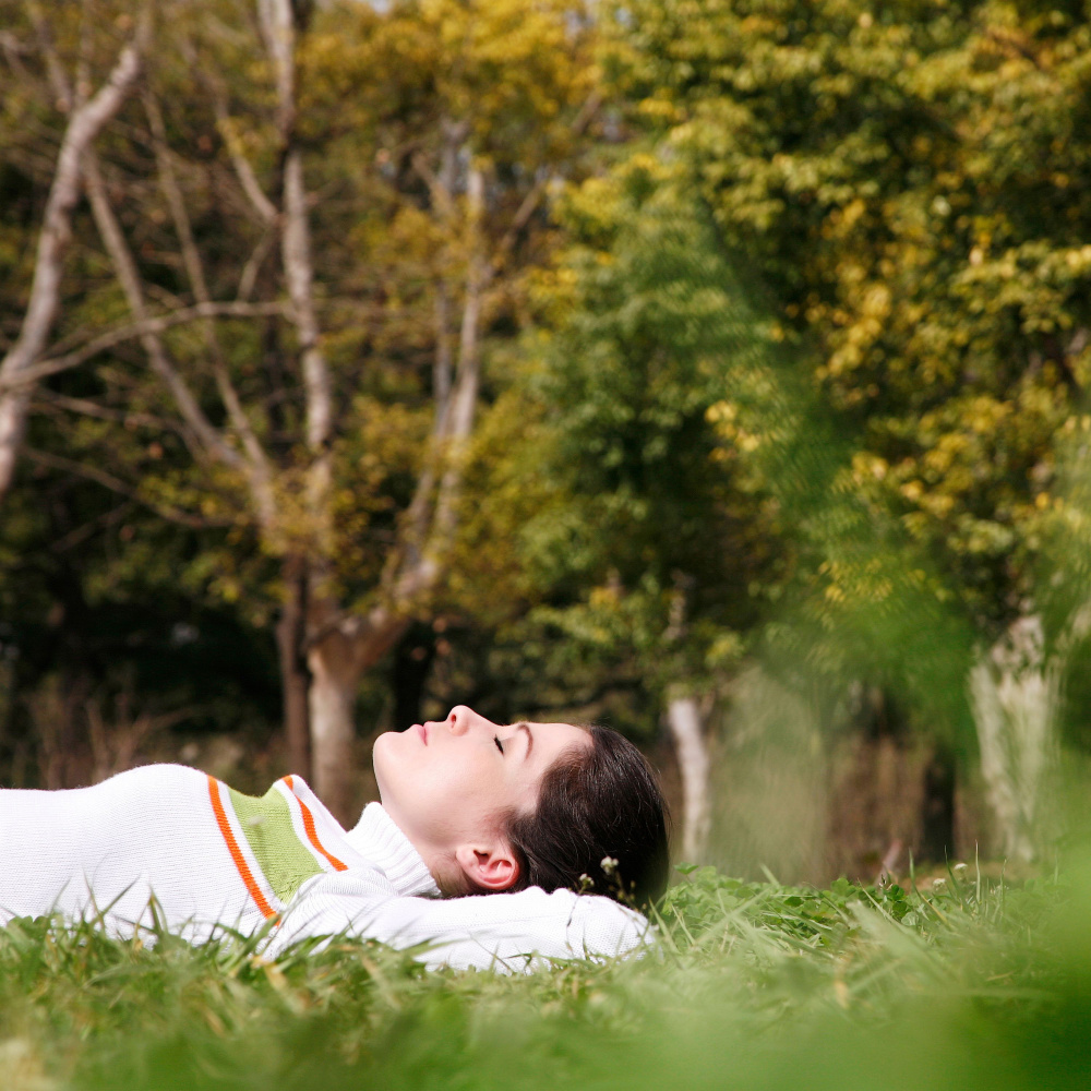Symphony of Peaceful Birdsong