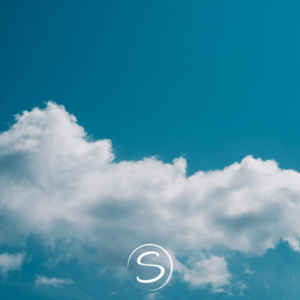 Soft Horizons