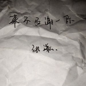 Listen to 来不及谢谢你 (完整版) song with lyrics from 张漾