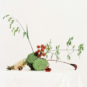 ดาวน์โหลดและฟังเพลง ShuShuShu พร้อมเนื้อเพลงจาก Qim Isle