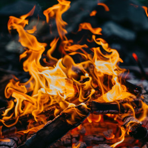 อัลบัม Pure Chill Flames: Fire's Soothing Warmth ศิลปิน Dhyāna One