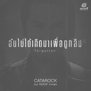 ดาวน์โหลดและฟังเพลง ฉันไม่ได้เกิดมาเพื่อถูกลืม พร้อมเนื้อเพลงจาก แมว จิรศักดิ์