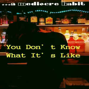 Barry Gibb的專輯You Don't Know What It's Like