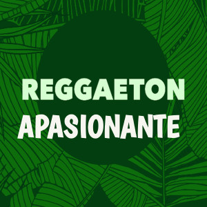 Album Reggaetón apasionante from DJ Tortura