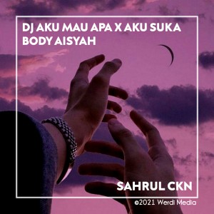 Listen to DJ Aku Mau Apa X Aku Suka Body Aisyah song with lyrics from Sahrul Ckn