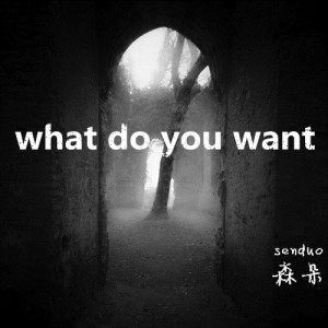 Album What Do You Want from 森朵