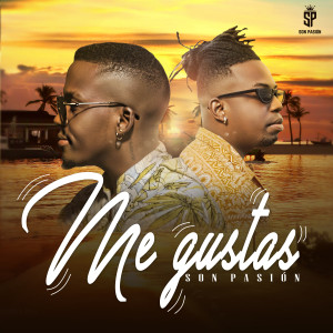ดาวน์โหลดและฟังเพลง Me Gustas พร้อมเนื้อเพลงจาก Son Pasión