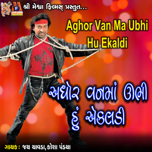 Listen to Aghor Van Ma Ubhi Hu Ekaldi song with lyrics from Jay Chavda