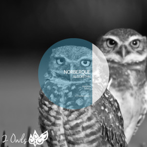 ดาวน์โหลดและฟังเพลง Infinity (Original Mix) พร้อมเนื้อเพลงจาก Norberque