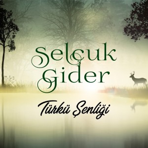 Dengarkan lagu Derdim nyanyian Selçuk Gider dengan lirik
