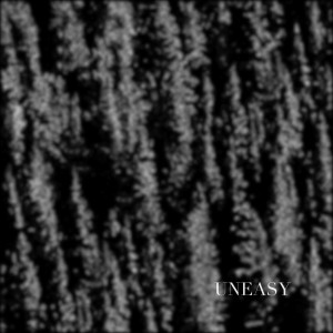ดาวน์โหลดและฟังเพลง Uneasy (Explicit) พร้อมเนื้อเพลงจาก Faded Winds