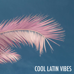 Various Artists的专辑Cool Latin Vibes