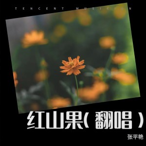 收聽張平豔的我不是孫悟空(傷感版) (cover: 莫小煒) (完整版)歌詞歌曲