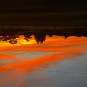 收聽ASTRØ E的never in my life (Explicit)歌詞歌曲