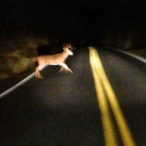 ดาวน์โหลดและฟังเพลง Time Out! (Von Storm Remix) (Explicit) พร้อมเนื้อเพลงจาก NxxxxxS