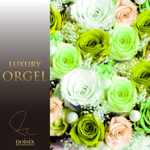 อัลบัม Luxury Orgel J-Pop Hits Vol.10 ศิลปิน ラグジュアリー オルゴール