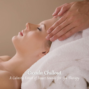 Cicada Chillout: A Calming Forest of Insect Sounds for Spa Therapy dari Complete Spa Music