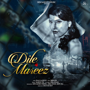 Listen to Dil E Mareez song with lyrics from Nargis Teji