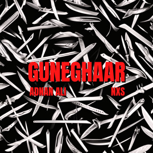 收聽Adnan Ali的Guneghaar歌詞歌曲