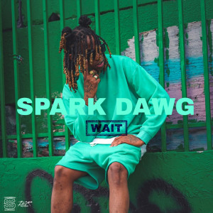 Dengarkan Wait lagu dari Spark Dawg dengan lirik