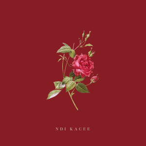 ดาวน์โหลดและฟังเพลง Sticken พร้อมเนื้อเพลงจาก Ndi Kacee