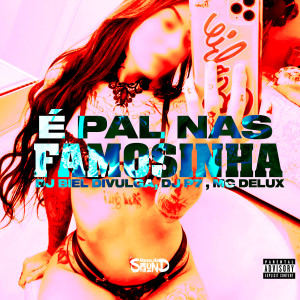 的專輯É Pal Nas Famosinha (Explicit)