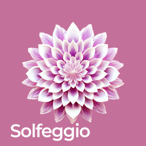 อัลบัม Solfeggio Frequencies Chakra Healing ศิลปิน Chakra Balancing 101
