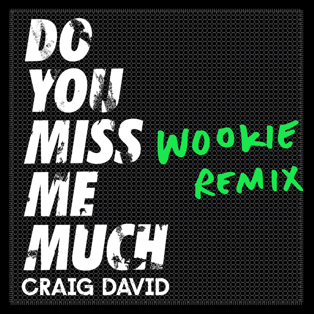 Do You Miss Me Much (Wookie Remix)