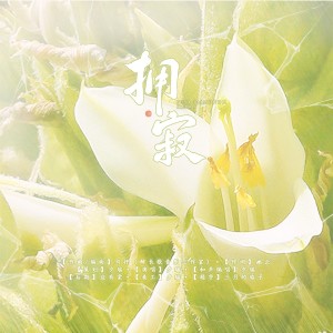 Album 拥寂（Puya raimondii Harms ） from 夕瑶吖