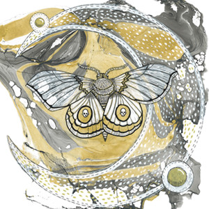 Album Papillon de nuit oleh Rox