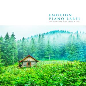 Healing Emotional Piano Hearing In Nature (Nature Ver.) dari Various Artists