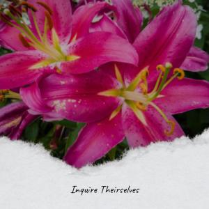 收聽Aruz Sach的Unrestricted All歌詞歌曲