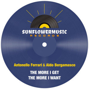 收聽Antonello Ferrari的The More I Get The More I Want (Antonello Ferrari & Aldo Bergamasco Club Mix)歌詞歌曲