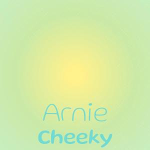 Various Artists的專輯Arnie Cheeky