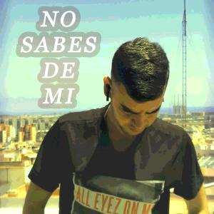 Listen to No sabes de mi (Explicit) song with lyrics from MTS