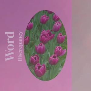 Listen to Word Discrepancy song with lyrics from Larsa