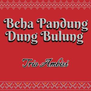 收听Trio Ambisi的Beha Pandung Dung Bulung歌词歌曲