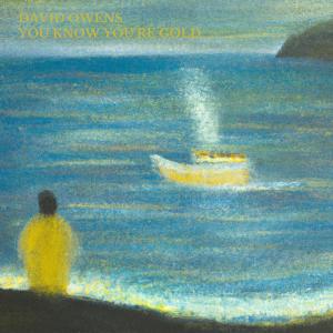 收聽David Owens的You Know You're Gold歌詞歌曲