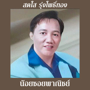 อัลบัม น้อยซอยพาณิชย์ ศิลปิน สดใส รุ่งโพธิ์ทอง
