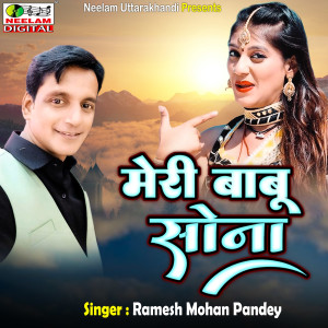 收聽Ramesh Mohan Pandey的Meri Babu Sona歌詞歌曲