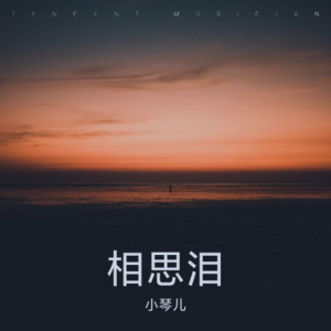 收听琴儿的相思泪 (完整版)歌词歌曲