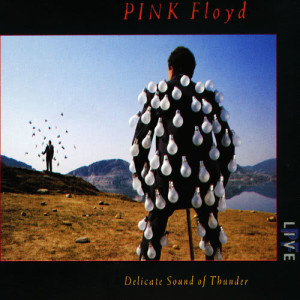 ดาวน์โหลดและฟังเพลง The Dogs of War (Live) พร้อมเนื้อเพลงจาก Pink Floyd