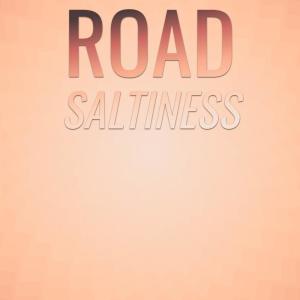 Listen to Road Saltiness song with lyrics from Prace Aise