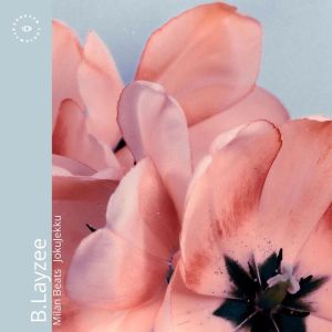Album B.Layzee from Jokujekku