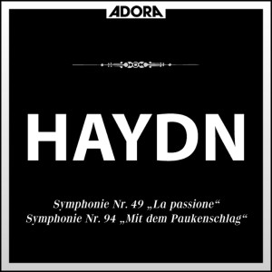 Württembergisches Kammerorchester的專輯Haydn: Symphonie No. 88, No. 49 und No. 94