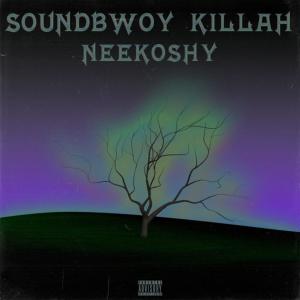 Album Soundbwoy Killah (Explicit) from Neekoshy