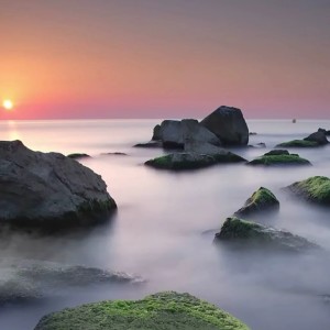 小貓多魚的專輯仙兒