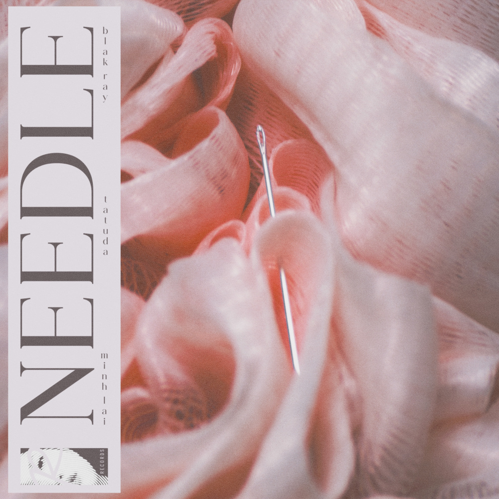 Needle
