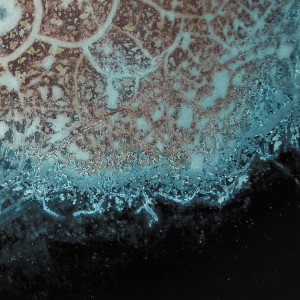 Dengarkan lagu Charantun nyanyian ZOOT dengan lirik