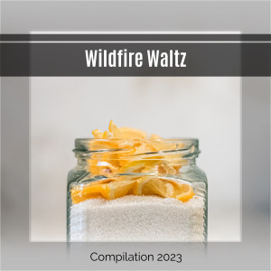 Various Artists的專輯Wildfire Waltz